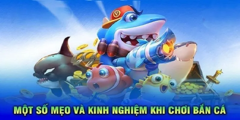 Chọn vũ khí phù hợp với từng loại cá giúp bạn tối ưu hóa lợi nhuận