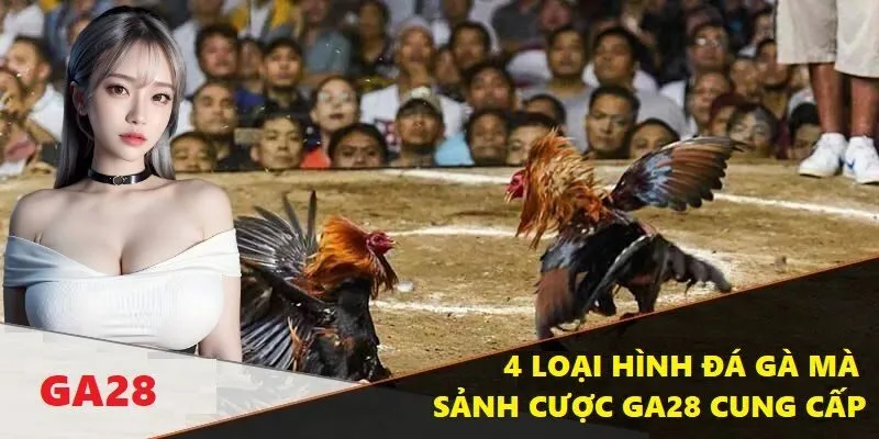 Nền tảng cung cấp đa dạng nhiều hình thức đá gà cho bạn thoải mái lựa chọn