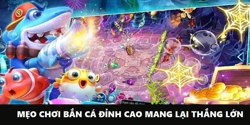 Lựa chọn bàn chơi ít người để tập luyện cách săn cá hiệu quả nhất