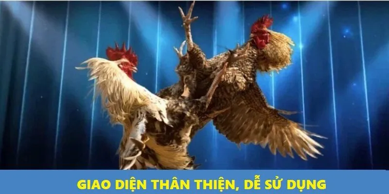 Giao diện thân thiện giúp người chơi mới dễ dàng tiếp cận và đặt cược